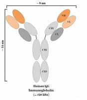 Trends in Med Sci